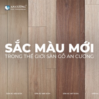 SÀN GỖ AN CƯỜNG